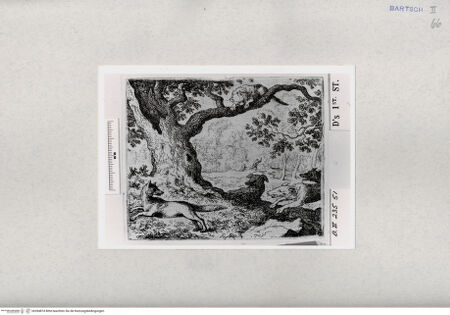 Vorderseite von  [http://creativecommons.org/publicdomain/mark/1.0/] ... - , bh284874. Foto.