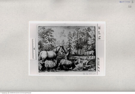 Vorderseite von  [http://creativecommons.org/publicdomain/mark/1.0/] ... - , bh284884. Foto.