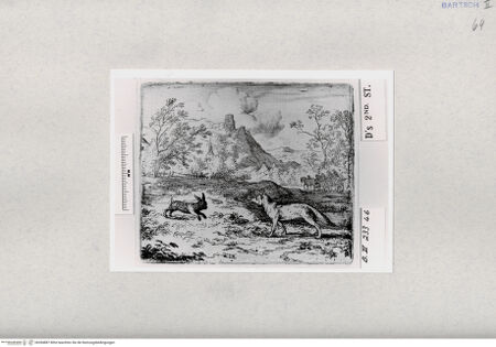 Vorderseite von  [http://creativecommons.org/publicdomain/mark/1.0/] ... - , bh284887. Foto.