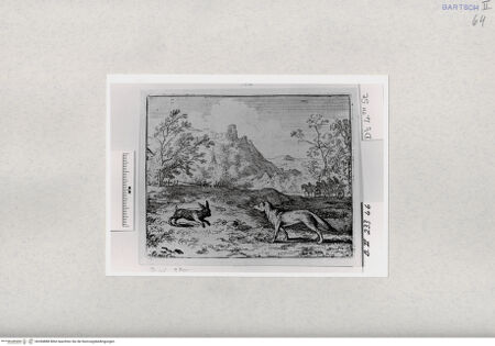 Vorderseite von  [http://creativecommons.org/publicdomain/mark/1.0/] ... - , bh284888. Foto.