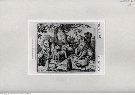 Vorderseite von  [http://creativecommons.org/publicdomain/mark/1.0/] ... - , bh284892. Foto.