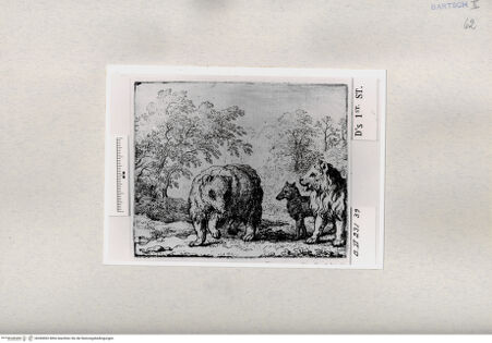 Vorderseite von  [http://creativecommons.org/publicdomain/mark/1.0/] ... - , bh284902. Foto.