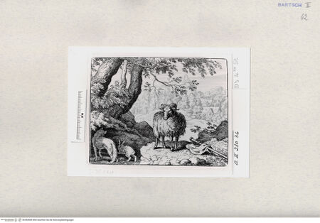 Vorderseite von  [http://creativecommons.org/publicdomain/mark/1.0/] ... - , bh284908. Foto.