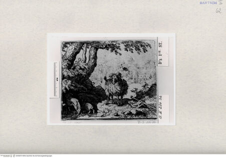 Vorderseite von  [http://creativecommons.org/publicdomain/mark/1.0/] ... - , bh284910. Foto.