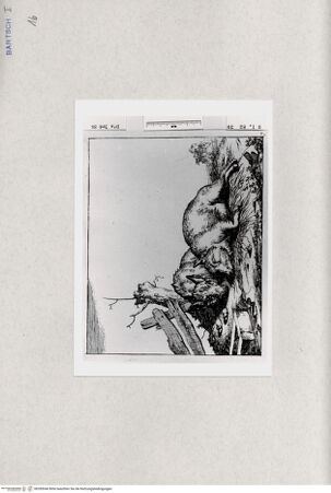 Vorderseite von  [http://creativecommons.org/publicdomain/mark/1.0/] ... - , bh285044. Foto.