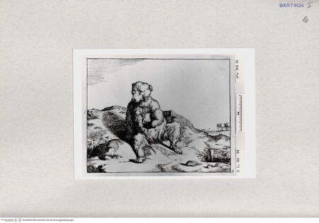 Vorderseite von  [http://creativecommons.org/publicdomain/mark/1.0/] ... - , bh285045. Foto.