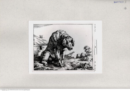 Vorderseite von  [http://creativecommons.org/publicdomain/mark/1.0/] ... - , bh285046. Foto.