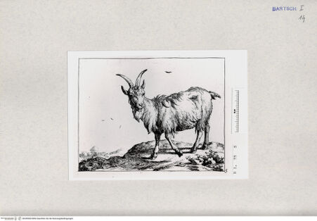 Vorderseite von  [http://creativecommons.org/publicdomain/mark/1.0/] ... - , bh285060. Foto.