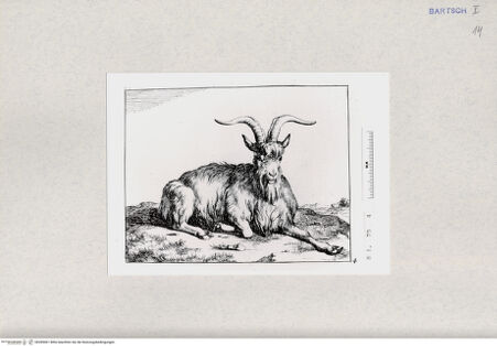 Vorderseite von  [http://creativecommons.org/publicdomain/mark/1.0/] ... - , bh285061. Foto.