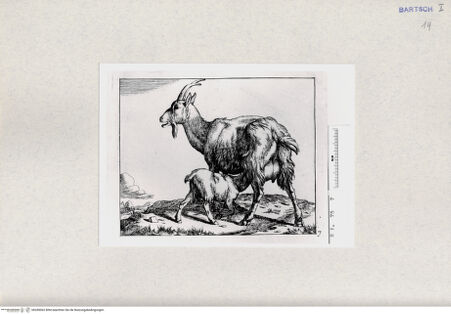 Vorderseite von  [http://creativecommons.org/publicdomain/mark/1.0/] ... - , bh285062. Foto.