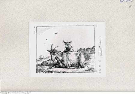 Vorderseite von  [http://creativecommons.org/publicdomain/mark/1.0/] ... - , bh285063. Foto.