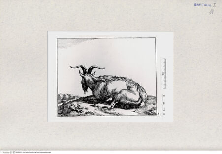 Vorderseite von  [http://creativecommons.org/publicdomain/mark/1.0/] ... - , bh285065. Foto.