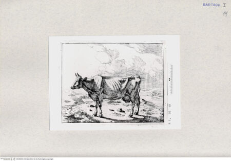 Vorderseite von  [http://creativecommons.org/publicdomain/mark/1.0/] ... - , bh285066. Foto.