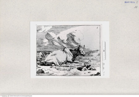 Vorderseite von  [http://creativecommons.org/publicdomain/mark/1.0/] ... - , bh285070. Foto.