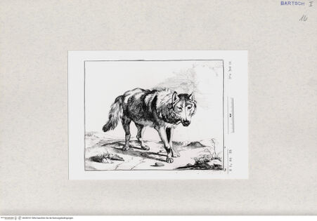 Vorderseite von  [http://creativecommons.org/publicdomain/mark/1.0/] ... - , bh285101. Foto.