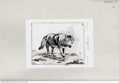 Vorderseite von  [http://creativecommons.org/publicdomain/mark/1.0/] ... - , bh285102. Foto.