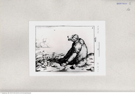 Vorderseite von  [http://creativecommons.org/publicdomain/mark/1.0/] ... - , bh285103. Foto.