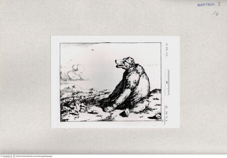 Vorderseite von  [http://creativecommons.org/publicdomain/mark/1.0/] ... - , bh285106. Foto.