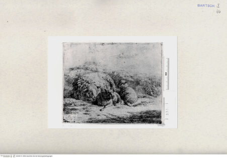 Vorderseite von  [http://creativecommons.org/publicdomain/mark/1.0/] ... - , bh285131. Foto.