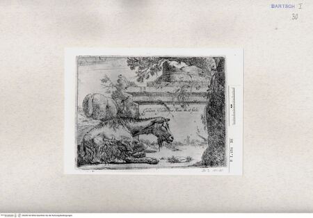 Vorderseite von  [http://creativecommons.org/publicdomain/mark/1.0/] ... - , bh285144. Foto.