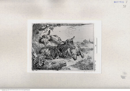 Vorderseite von  [http://creativecommons.org/publicdomain/mark/1.0/] ... - , bh285145. Foto.