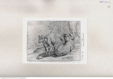 Vorderseite von  [http://creativecommons.org/publicdomain/mark/1.0/] ... - , bh285146. Foto.