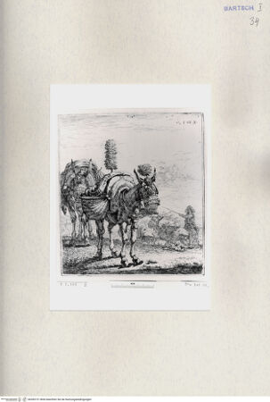 Vorderseite von  [http://creativecommons.org/publicdomain/mark/1.0/] ... - , bh285151. Foto.