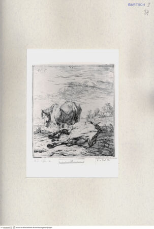 Vorderseite von  [http://creativecommons.org/publicdomain/mark/1.0/] ... - , bh285154. Foto.