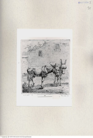 Vorderseite von  [http://creativecommons.org/publicdomain/mark/1.0/] ... - , bh285155. Foto.