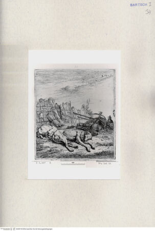 Vorderseite von  [http://creativecommons.org/publicdomain/mark/1.0/] ... - , bh285156. Foto.