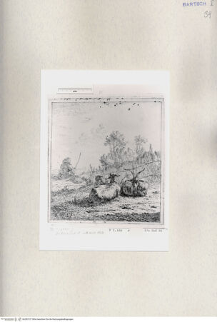 Vorderseite von  [http://creativecommons.org/publicdomain/mark/1.0/] ... - , bh285157. Foto.