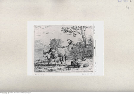 Vorderseite von  [http://creativecommons.org/publicdomain/mark/1.0/] ... - , bh285163. Foto.