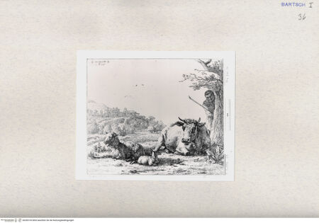 Vorderseite von  [http://creativecommons.org/publicdomain/mark/1.0/] ... - , bh285165. Foto.