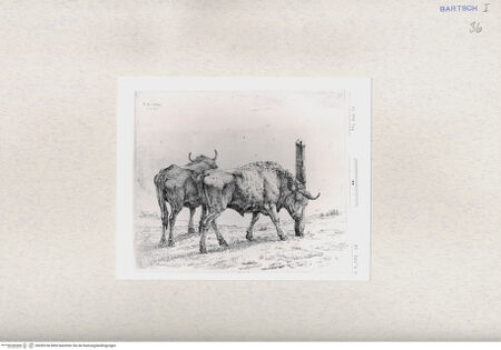 Vorderseite von  [http://creativecommons.org/publicdomain/mark/1.0/] ... - , bh285166. Foto.