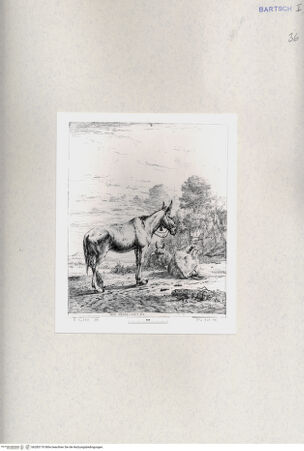 Vorderseite von  [http://creativecommons.org/publicdomain/mark/1.0/] ... - , bh285170. Foto.