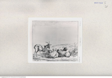 Vorderseite von  [http://creativecommons.org/publicdomain/mark/1.0/] ... - , bh285174. Foto.