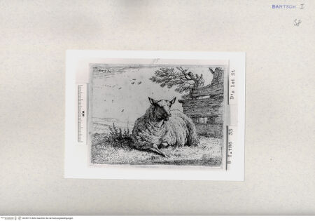 Vorderseite von  [http://creativecommons.org/publicdomain/mark/1.0/] ... - , bh285176. Foto.