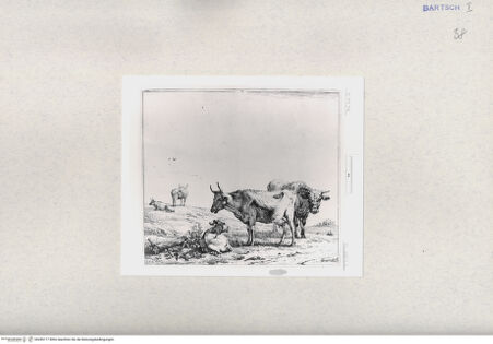 Vorderseite von  [http://creativecommons.org/publicdomain/mark/1.0/] ... - , bh285177. Foto.