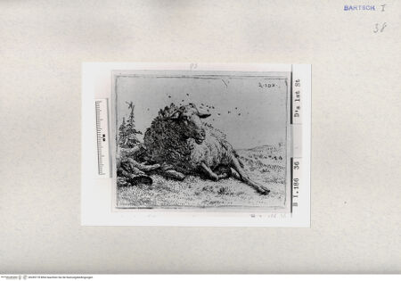 Vorderseite von  [http://creativecommons.org/publicdomain/mark/1.0/] ... - , bh285178. Foto.