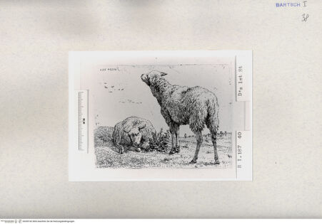 Vorderseite von  [http://creativecommons.org/publicdomain/mark/1.0/] ... - , bh285182. Foto.