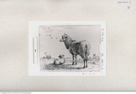 Vorderseite von  [http://creativecommons.org/publicdomain/mark/1.0/] ... - , bh285185. Foto.