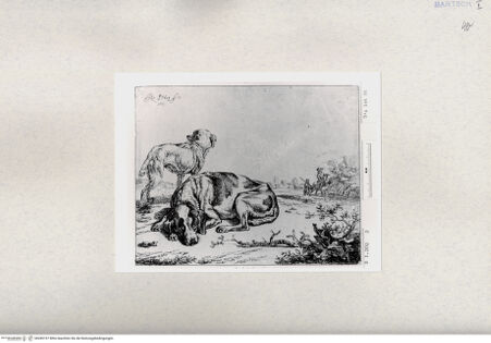 Vorderseite von  [http://creativecommons.org/publicdomain/mark/1.0/] ... - , bh285197. Foto.