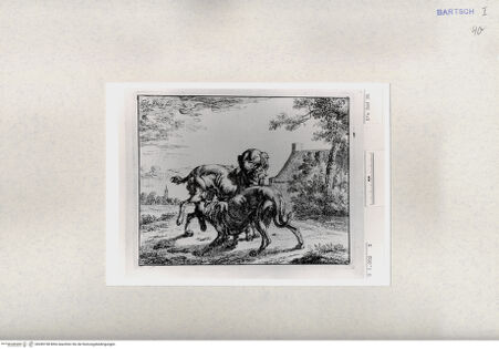 Vorderseite von  [http://creativecommons.org/publicdomain/mark/1.0/] ... - , bh285198. Foto.