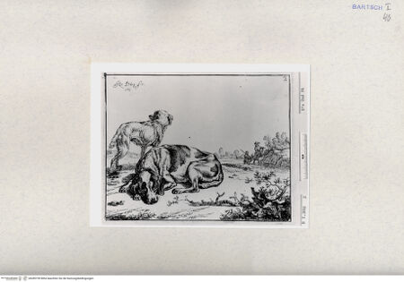 Vorderseite von  [http://creativecommons.org/publicdomain/mark/1.0/] ... - , bh285199. Foto.