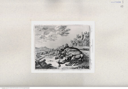 Vorderseite von  [http://creativecommons.org/publicdomain/mark/1.0/] ... - , bh285200. Foto.