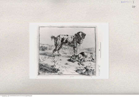 Vorderseite von  [http://creativecommons.org/publicdomain/mark/1.0/] ... - , bh285208. Foto.