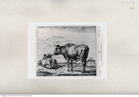 Vorderseite von  [http://creativecommons.org/publicdomain/mark/1.0/] ... - , bh285210. Foto.