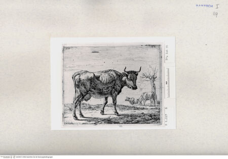 Vorderseite von  [http://creativecommons.org/publicdomain/mark/1.0/] ... - , bh285212. Foto.