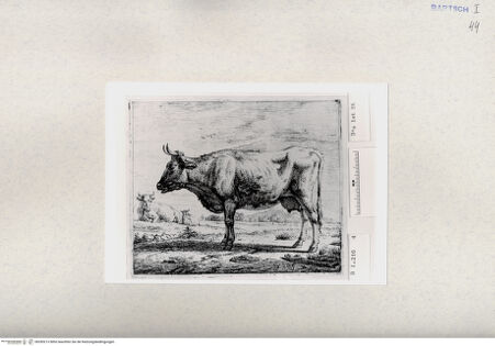 Vorderseite von  [http://creativecommons.org/publicdomain/mark/1.0/] ... - , bh285213. Foto.