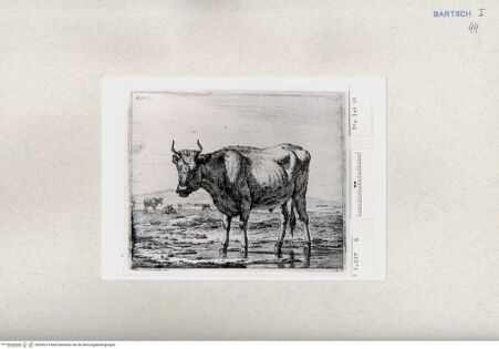 Vorderseite von  [http://creativecommons.org/publicdomain/mark/1.0/] ... - , bh285214. Foto.